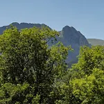 Viva Zakopane