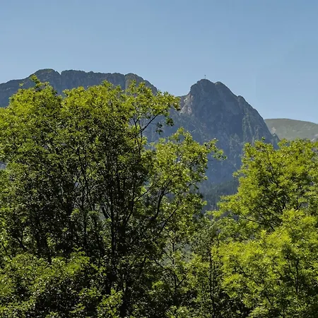 Viva Zakopane